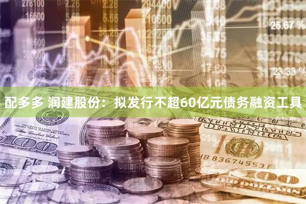 配多多 润建股份：拟发行不超60亿元债务融资工具