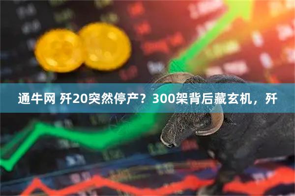 通牛网 歼20突然停产？300架背后藏玄机，歼