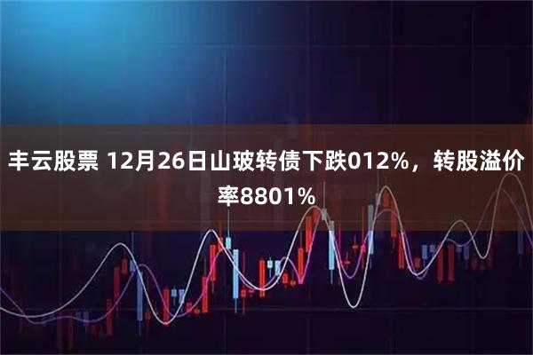 丰云股票 12月26日山玻转债下跌012%，转股溢价率8801%