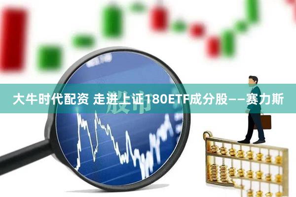 大牛时代配资 走进上证180ETF成分股——赛力斯