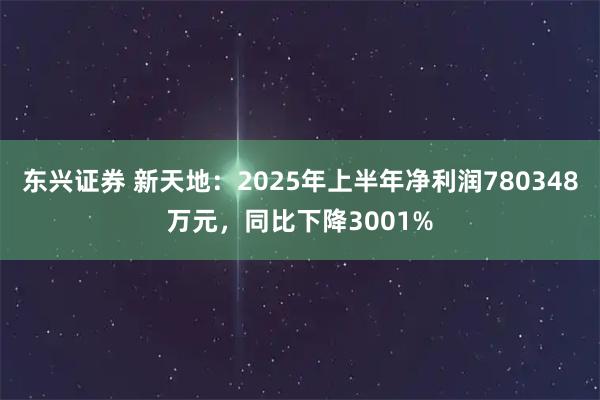 东兴证券 新天地：2025年上半年净利润780348万元，同比下降3001%